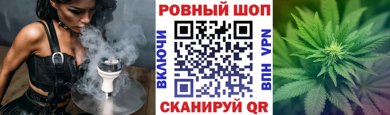 МЕФ Калининград